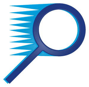 magnifying glass icon